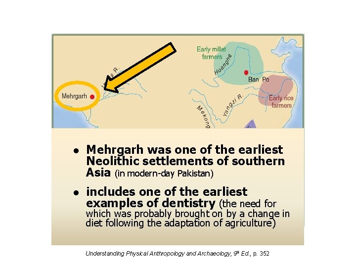 l Mehrgarh was one of the earliest Neolithic settlements of southern Asia (in modern-day