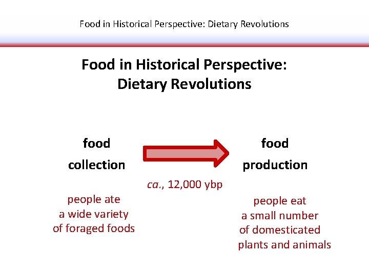 Food in Historical Perspective: Dietary Revolutions food collection people ate a wide variety of