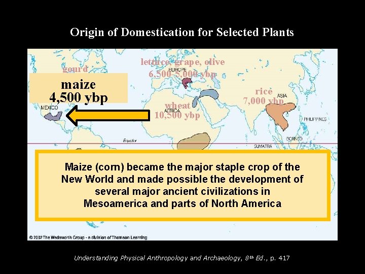 Origin of Domestication for Selected Plants gourd 5, 000 ybp maize 4, 500 ybp