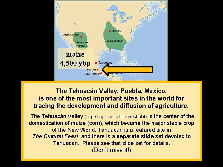 maize 4, 500 ybp The Tehuacán Valley, Puebla, Mexico, is one of the most