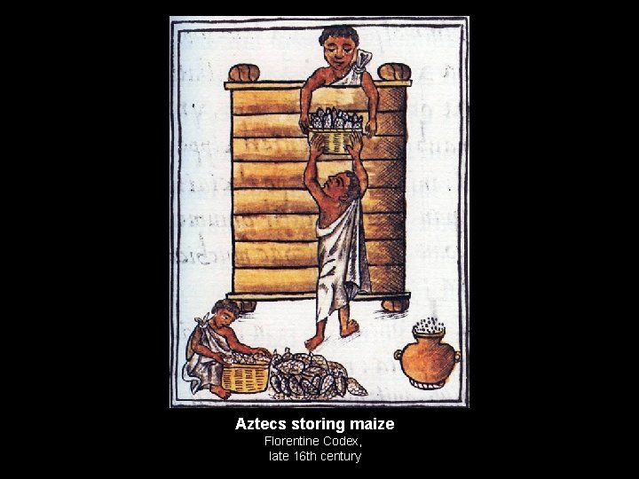 Aztecs storing maize Florentine Codex, late 16 th century 