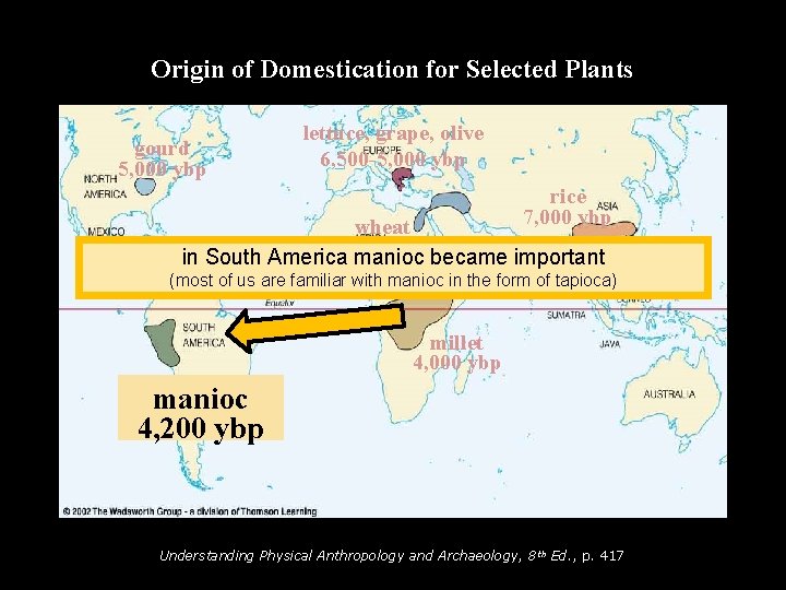 Origin of Domestication for Selected Plants gourd 5, 000 ybp lettuce, grape, olive 6,