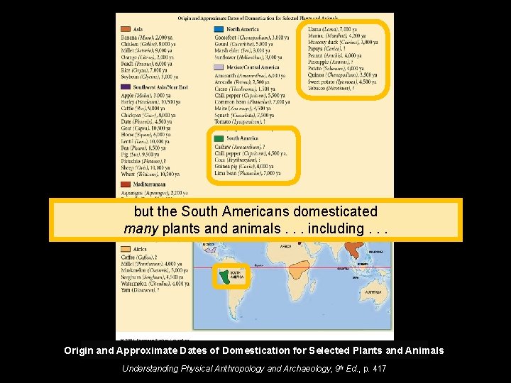 but the South Americans domesticated many plants and animals. . . including. . .