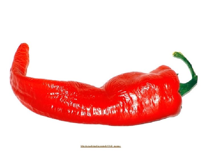 http: //en. wikipedia. org/wiki/Chili_pepper 