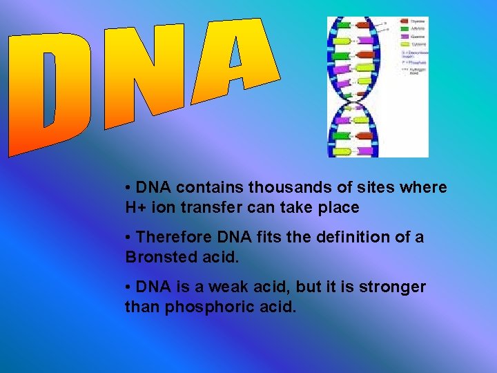  • DNA contains thousands of sites where H+ ion transfer can take place