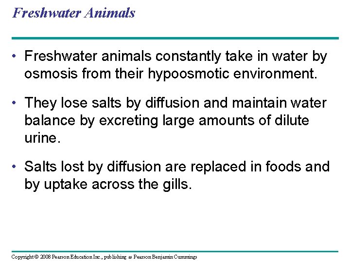 Freshwater Animals • Freshwater animals constantly take in water by osmosis from their hypoosmotic