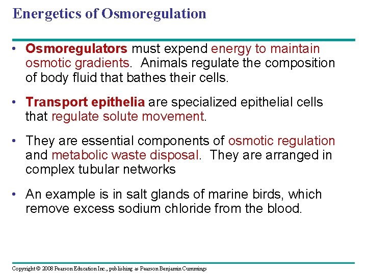 Energetics of Osmoregulation • Osmoregulators must expend energy to maintain osmotic gradients. Animals regulate