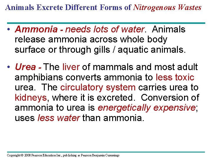 Animals Excrete Different Forms of Nitrogenous Wastes • Ammonia - needs lots of water.