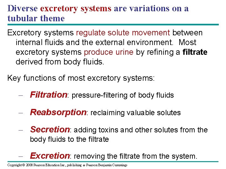 Diverse excretory systems are variations on a tubular theme Excretory systems regulate solute movement