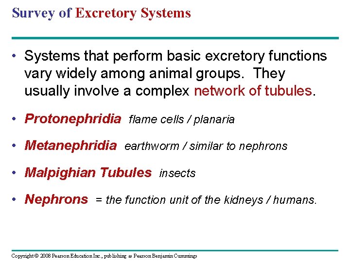 Survey of Excretory Systems • Systems that perform basic excretory functions vary widely among