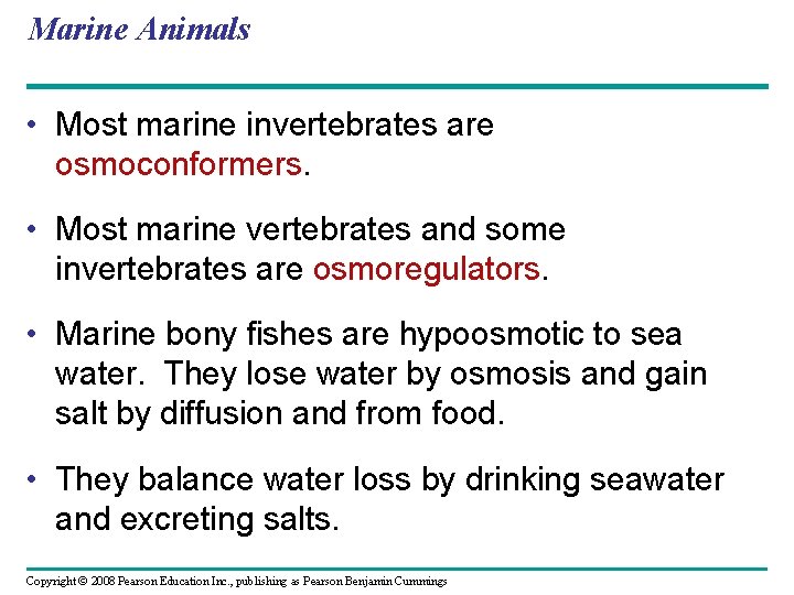 Marine Animals • Most marine invertebrates are osmoconformers. • Most marine vertebrates and some