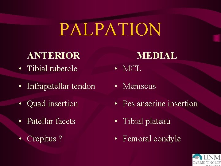 PALPATION ANTERIOR MEDIAL • Tibial tubercle • MCL • Infrapatellar tendon • Meniscus •