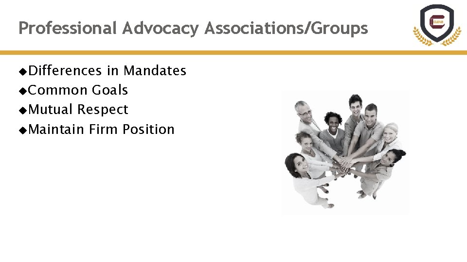 Professional Advocacy Associations/Groups Differences in Mandates Common Goals Mutual Respect Maintain Firm Position 