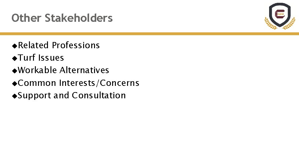 Other Stakeholders Related Professions Turf Issues Workable Alternatives Common Interests/Concerns Support and Consultation 