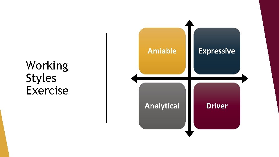Amiable Expressive Analytical Driver Working Styles Exercise 