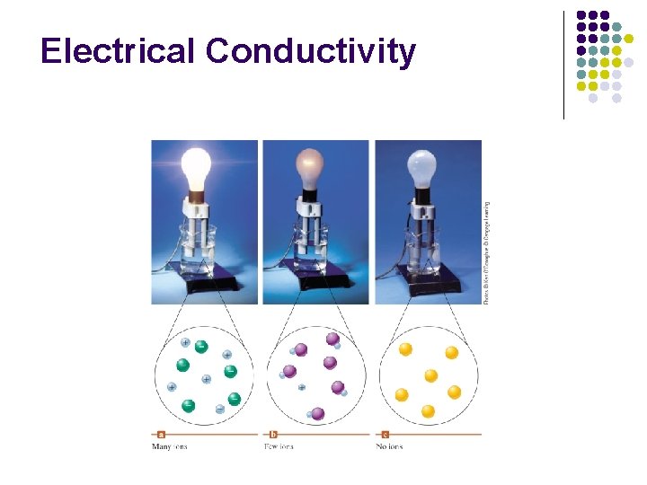 Electrical Conductivity 