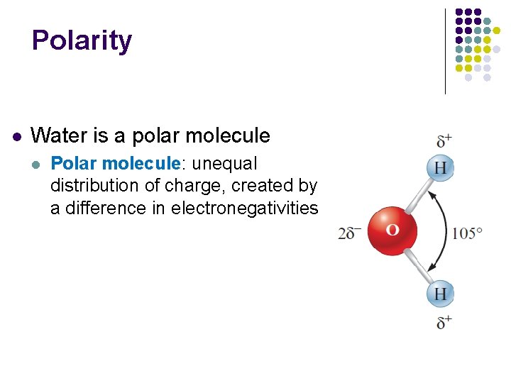 Polarity l Water is a polar molecule l Polar molecule: unequal distribution of charge,