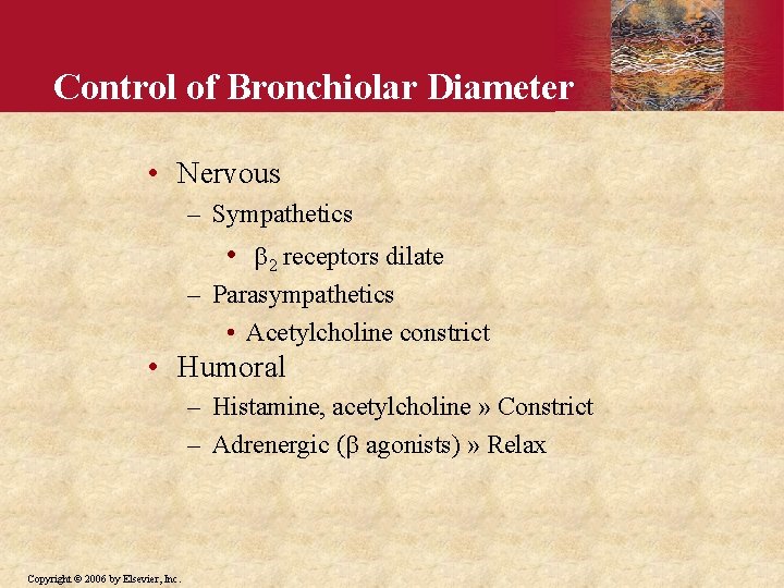 Control of Bronchiolar Diameter • Nervous – Sympathetics • 2 receptors dilate – Parasympathetics