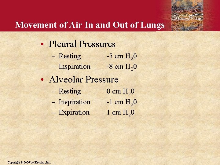 Movement of Air In and Out of Lungs • Pleural Pressures – Resting –