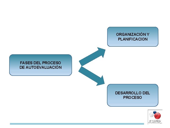 ORGANIZACIÓN Y PLANIFICACION FASES DEL PROCESO DE AUTOEVALUACIÓN DESARROLLO DEL PROCESO 