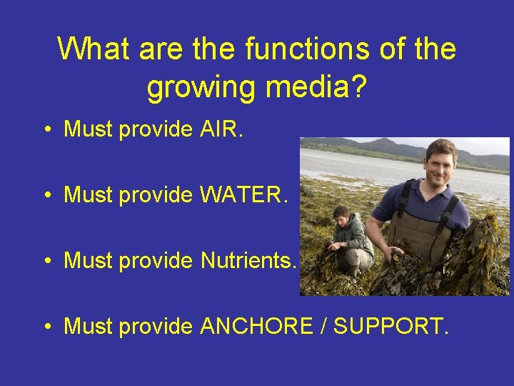 What are the functions of the growing media? • Must provide AIR. • Must