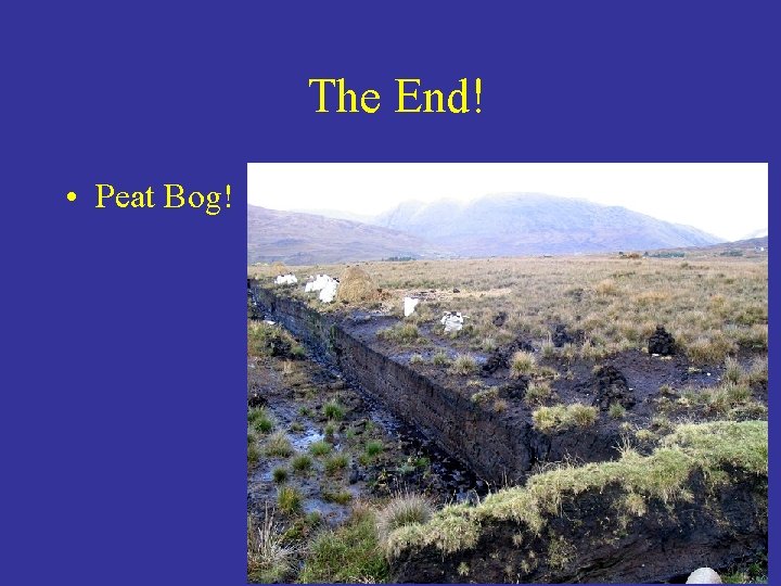 The End! • Peat Bog! 