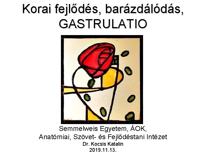 Korai fejlődés, barázdálódás, GASTRULATIO Semmelweis Egyetem, ÁOK, Anatómiai, Szövet- és Fejlődéstani Intézet Dr. Kocsis