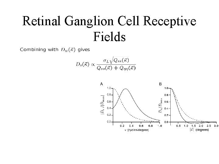 Retinal Ganglion Cell Receptive Fields 