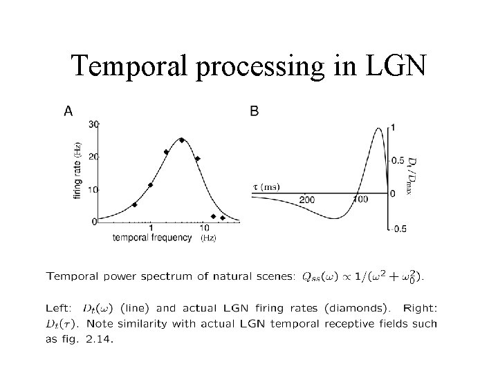Temporal processing in LGN 