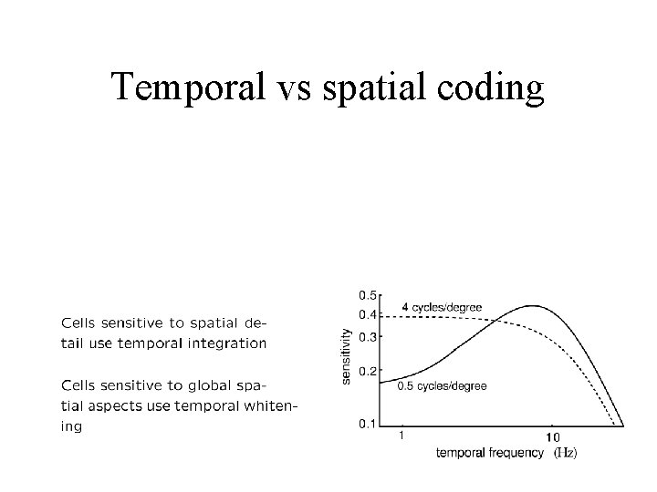 Temporal vs spatial coding 