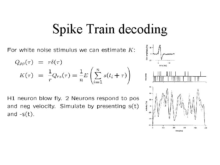 Spike Train decoding 