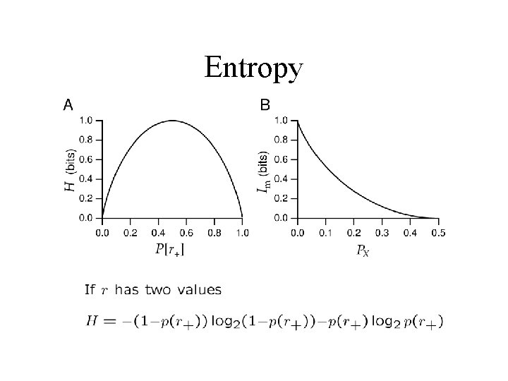 Entropy 