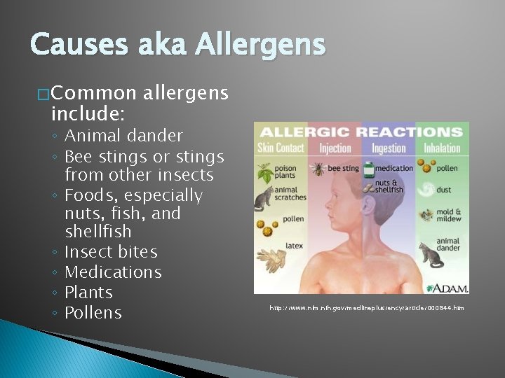 Causes aka Allergens � Common include: allergens ◦ Animal dander ◦ Bee stings or