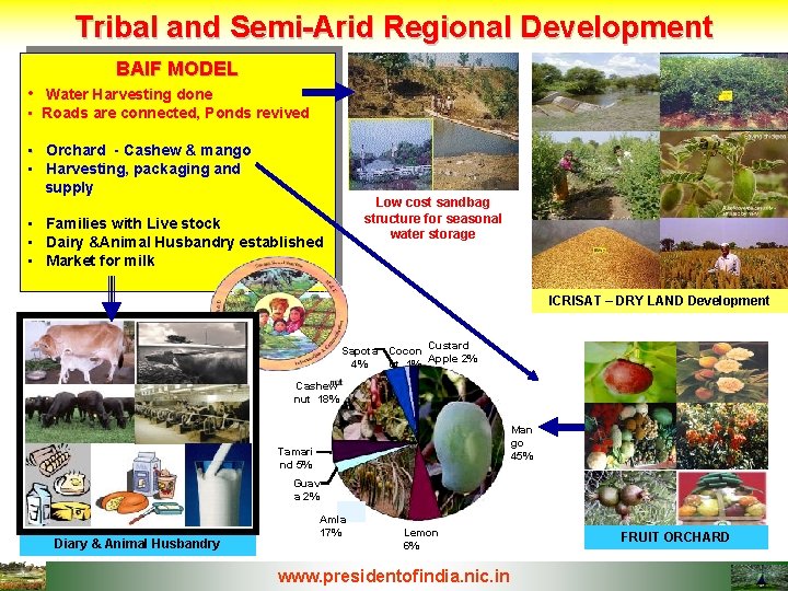 Tribal and Semi-Arid Regional Development BAIF MODEL • Water Harvesting done • Roads are