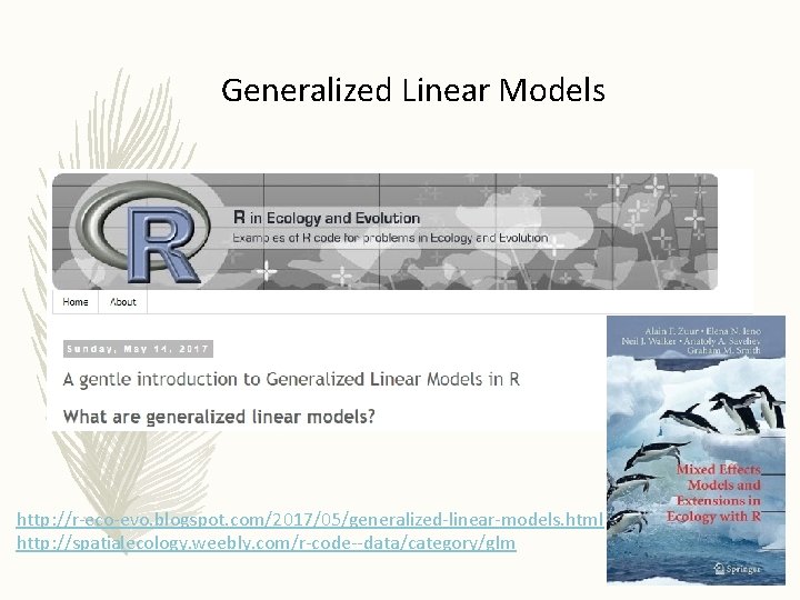 Generalized Linear Models http: //r-eco-evo. blogspot. com/2017/05/generalized-linear-models. html http: //spatialecology. weebly. com/r-code--data/category/glm 
