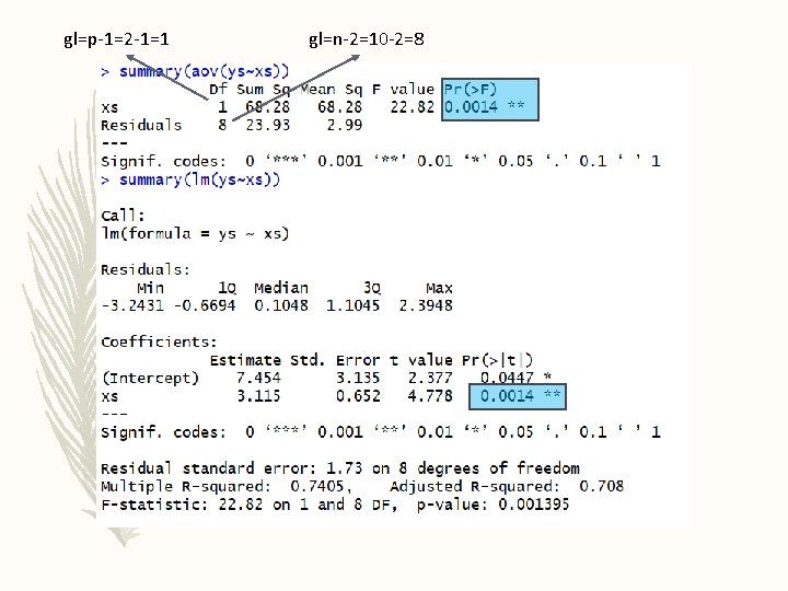 gl=p-1=2 -1=1 gl=n-2=10 -2=8 