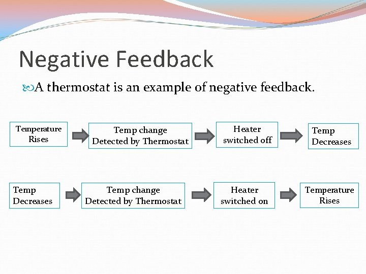 Negative Feedback A thermostat is an example of negative feedback. Temperature Rises Temp Decreases