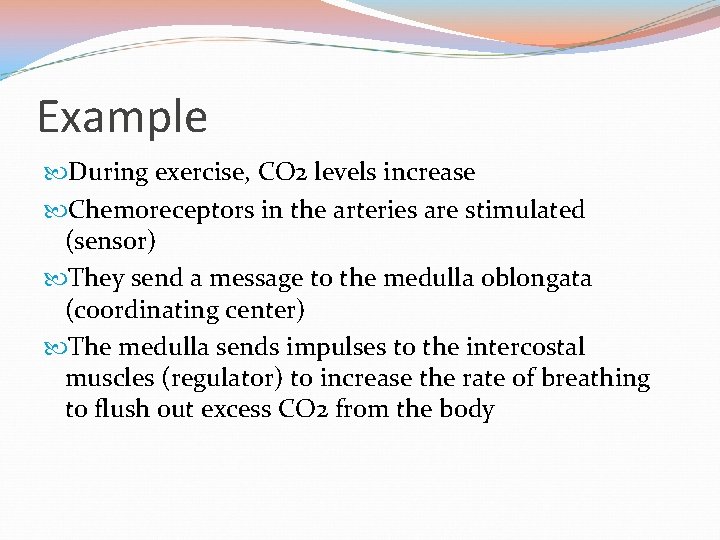 Example During exercise, CO 2 levels increase Chemoreceptors in the arteries are stimulated (sensor)
