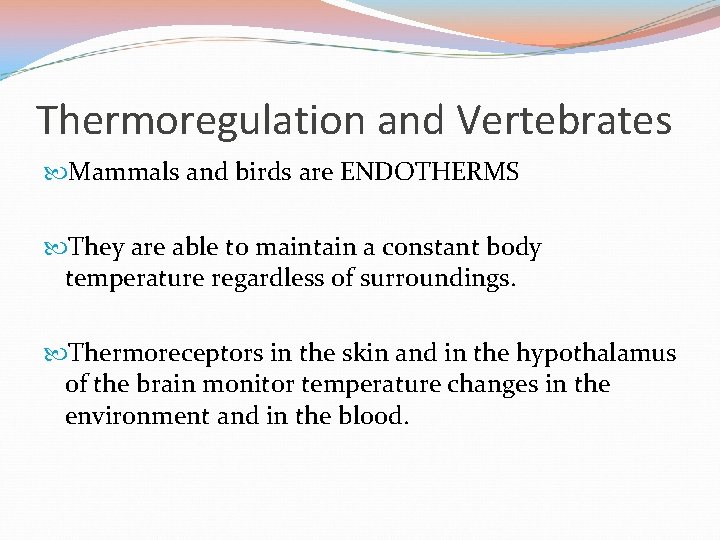 Thermoregulation and Vertebrates Mammals and birds are ENDOTHERMS They are able to maintain a