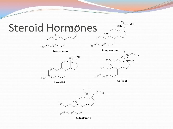 Steroid Hormones 