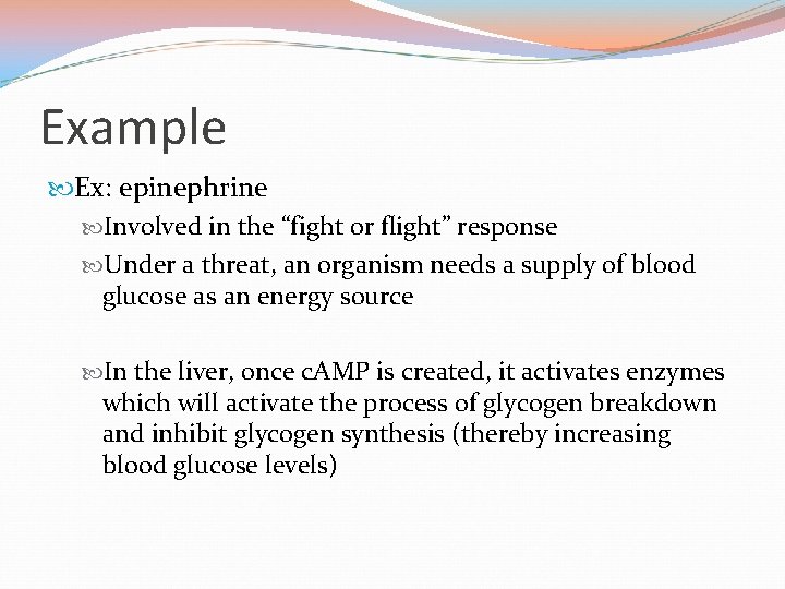 Example Ex: epinephrine Involved in the “fight or flight” response Under a threat, an