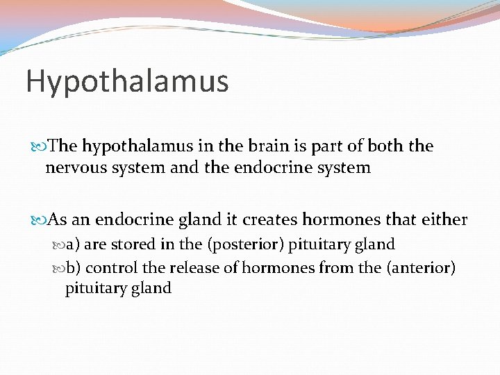 Hypothalamus The hypothalamus in the brain is part of both the nervous system and