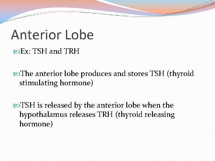 Anterior Lobe Ex: TSH and TRH The anterior lobe produces and stores TSH (thyroid