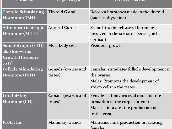 Hormone Thyroid Stimulating Hormone (TSH) Target Organ Primary Function Thyroid Gland Releases hormones made