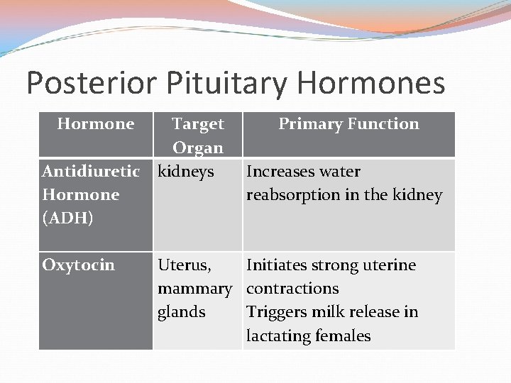 Posterior Pituitary Hormones Hormone Target Organ Antidiuretic kidneys Hormone (ADH) Oxytocin Primary Function Increases