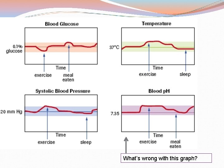 What’s wrong with this graph? 