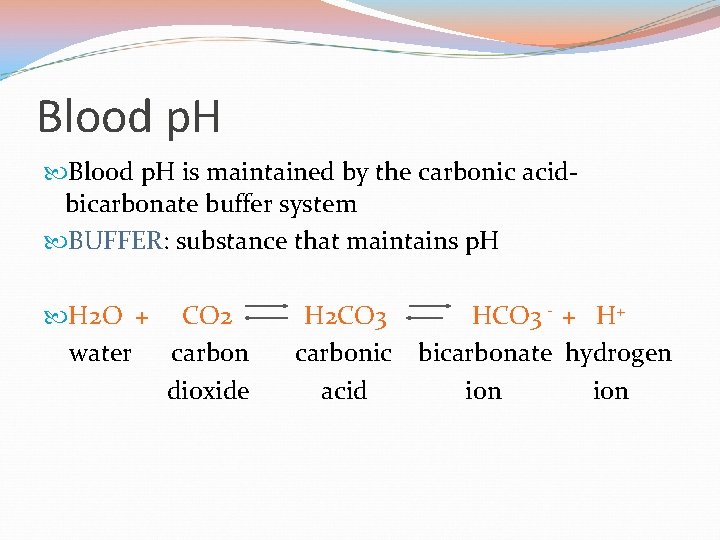 Blood p. H is maintained by the carbonic acidbicarbonate buffer system BUFFER: substance that