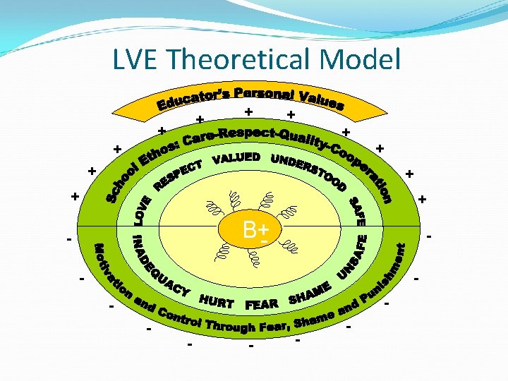 LVE Theoretical Model + + + B+- - - - - 