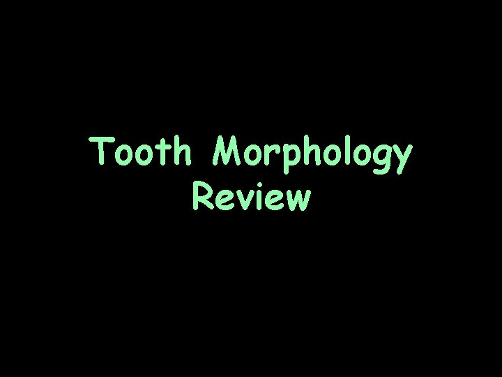 Tooth Morphology Review 