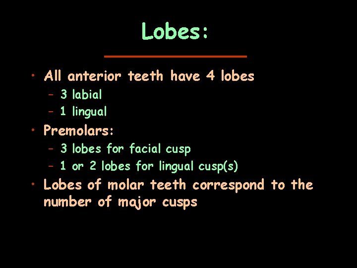 Lobes: • All anterior teeth have 4 lobes – 3 labial – 1 lingual